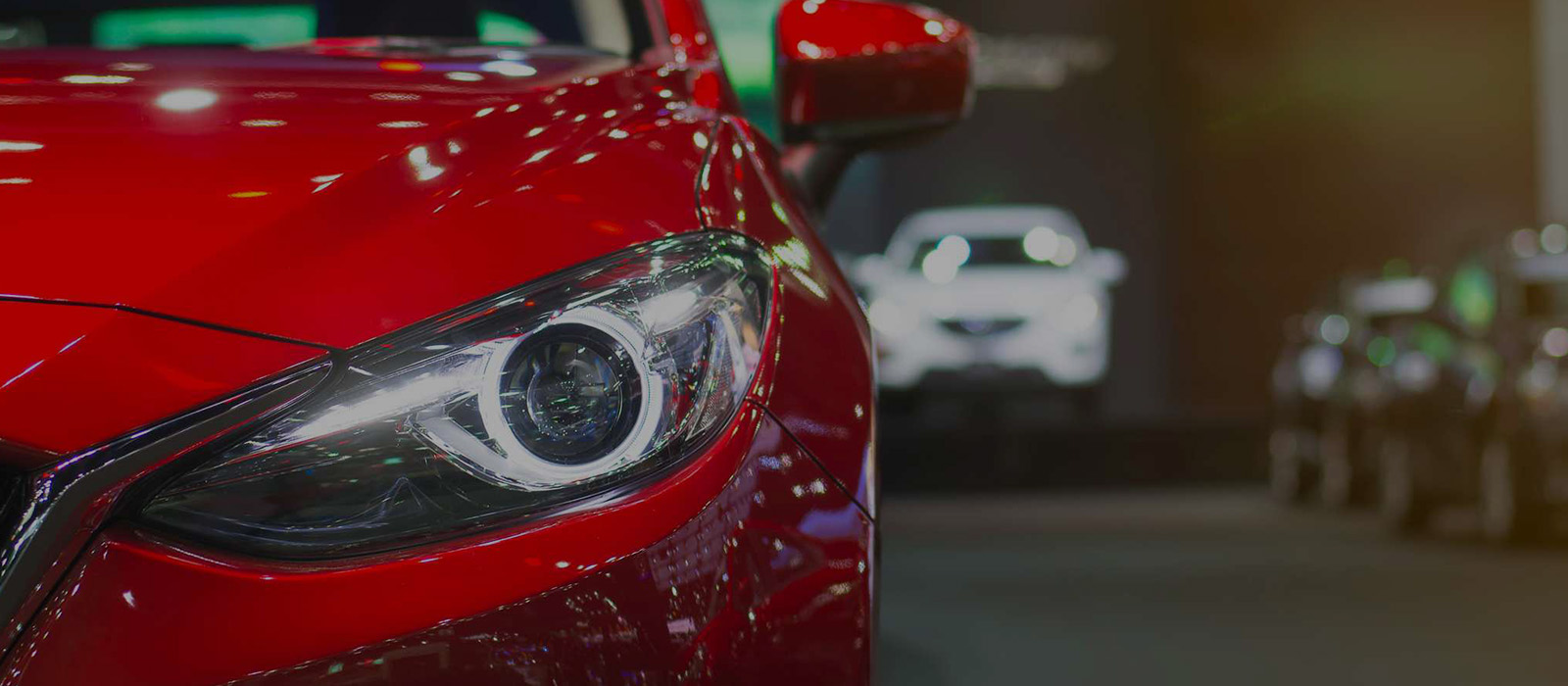 Taking Care of All Your Repairs and More